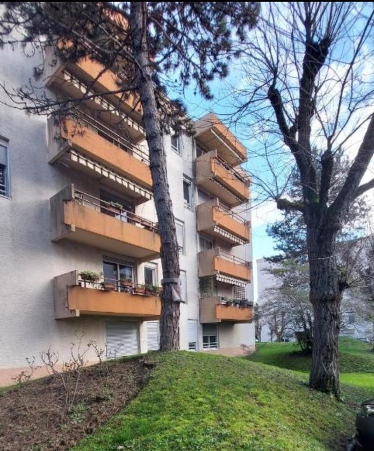 Appartamento Chazi Tolosa Esterno foto